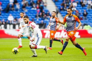 Ellyes Skhiri a déjà évolué en Ligue 1, sous la tunique de Montpellier
